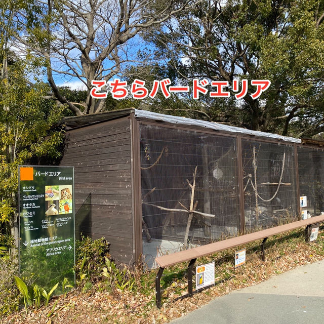 動物に癒されよう！のんほいパーク(豊橋総合動植物公園）