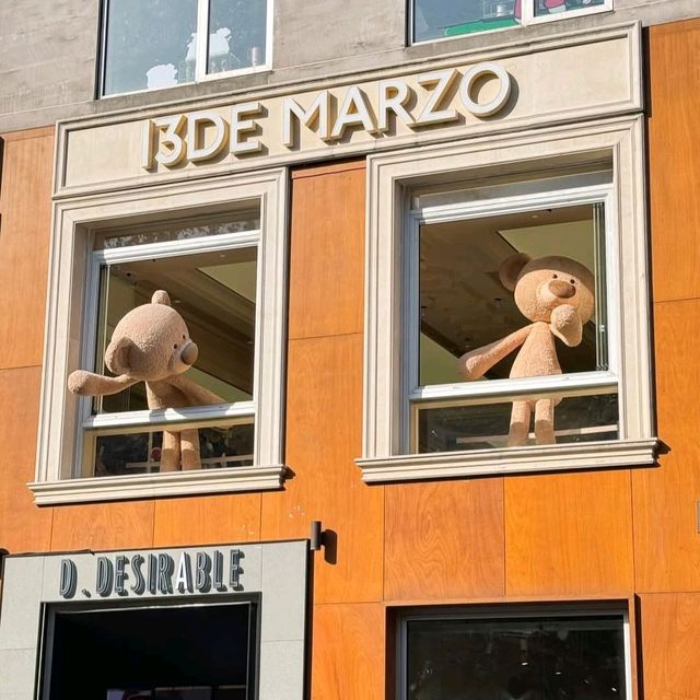 13DE MARZO 🐻