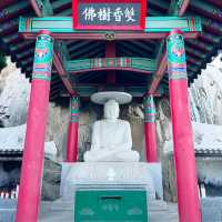 Serenity by the Sea: A Visit to Yonggungsa Temple 🇰🇷