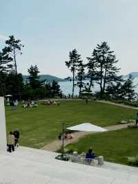 넓은 잔디밭에서 피크닉을, 카페 오송웨이브 🌊💕
