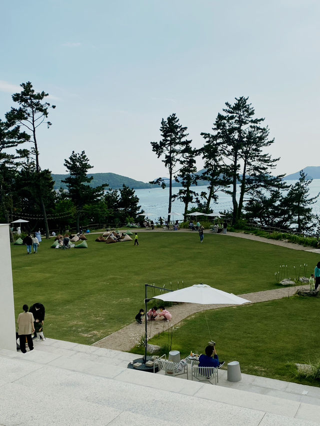 넓은 잔디밭에서 피크닉을, 카페 오송웨이브 🌊💕