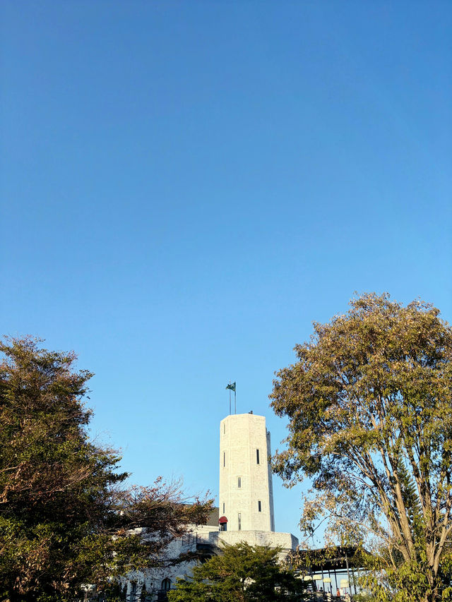 Midwinter - Khao Yai
