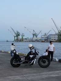 Discover Serenity and Skyline Views at the Port of Kobe