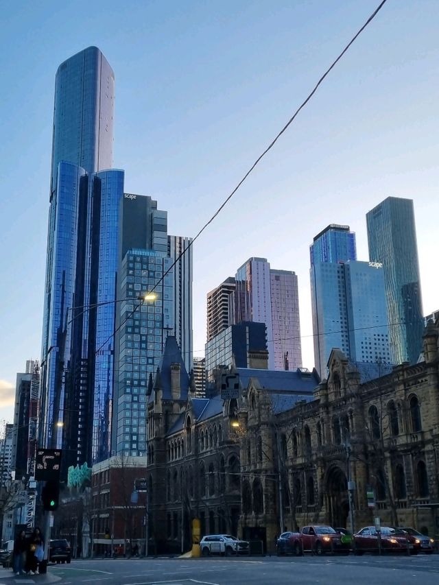멜버른 아랴 강의 겨울시즌🇦🇺