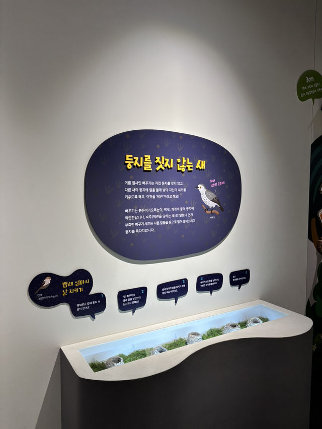 미로 체험이 가능한 국립생타자원 박물관😁
