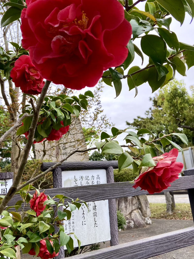 Bridge to Heaven : Amanohashidate