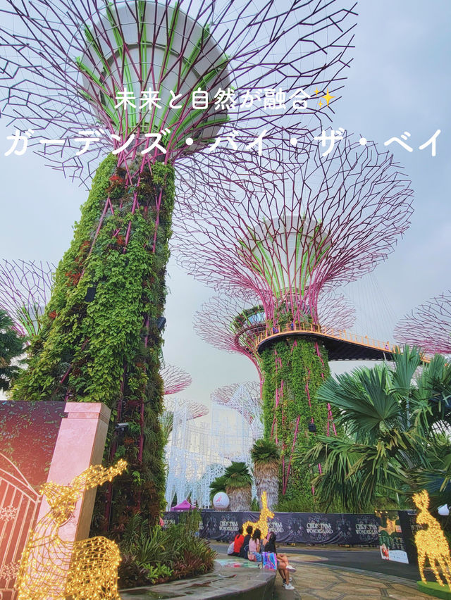 【未来と自然が融合✨ガーデンズ・バイ・ザ・ベイ💐】