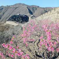 Conquering the Mutianyu Great Wall: A Thrilling Adventure 🇨🇳