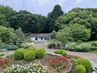 A Serene Escape and Beauty of Yoyogi Park**