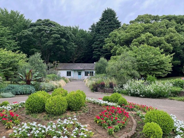 A Serene Escape and Beauty of Yoyogi Park**