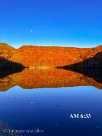 蔦沼の紅葉、撮影のベストタイミングは日の出から約30分間