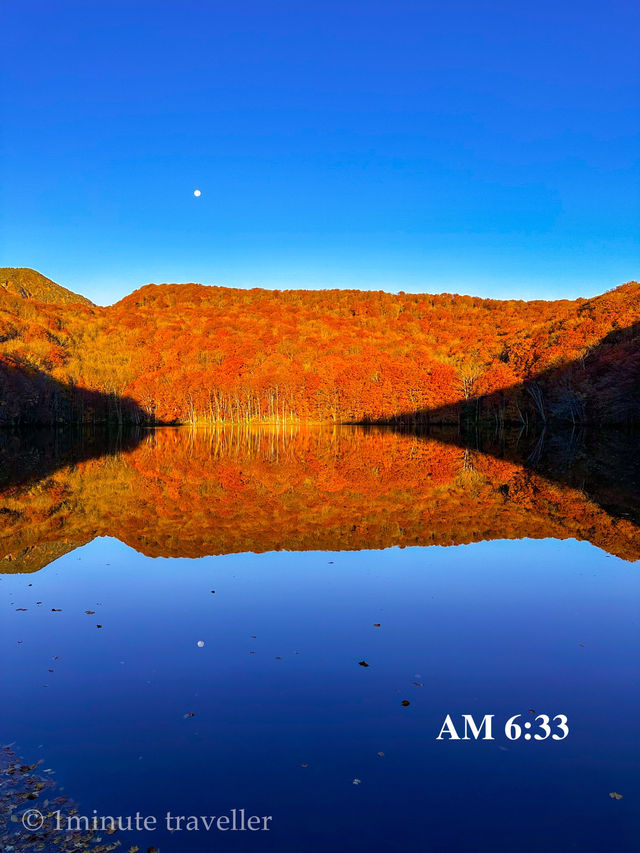 蔦沼の紅葉、撮影のベストタイミングは日の出から約30分間