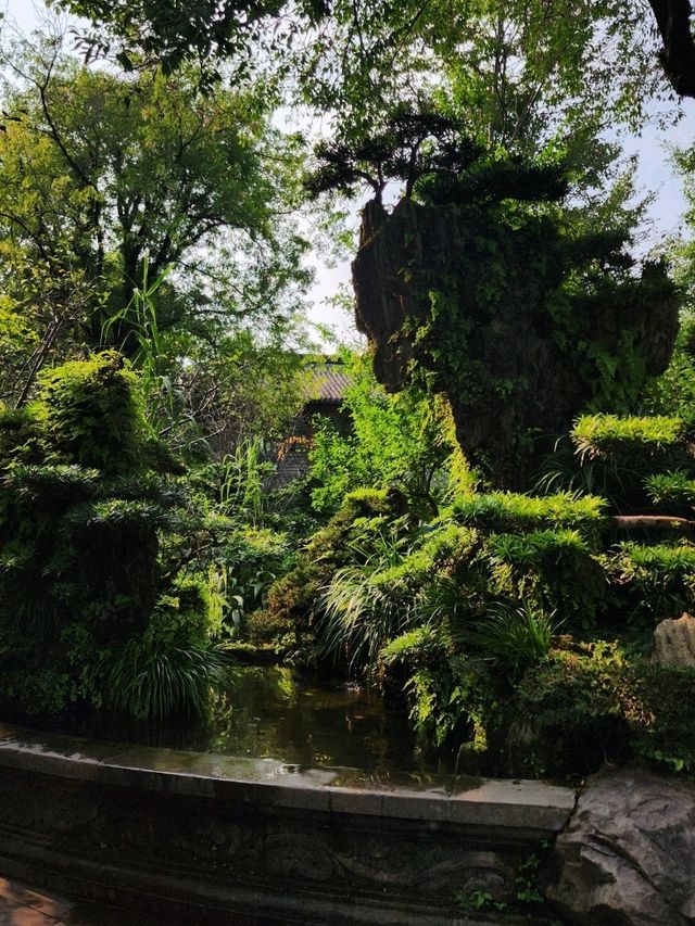 ✨Summer in WuhouCi Chengdu✨