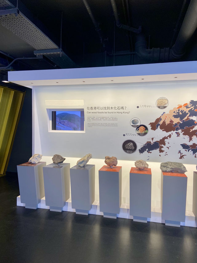 🪵😍讓人耳目一新的香港首個「如心園」木化石公園 ｜親子好去處👯