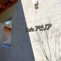 A Peaceful Retreat in Nature: Cafe Azalea