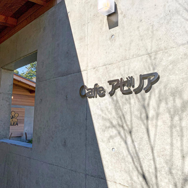A Peaceful Retreat in Nature: Cafe Azalea