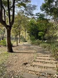 Wenxin Forest Park: A Breath of Fresh Air