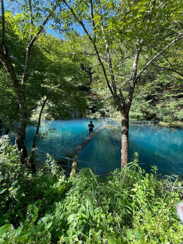 【白龍湖の普段はみれない景色】