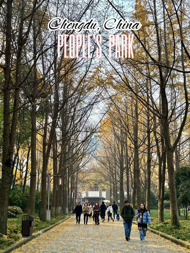 มากกว่า🏞️สวนสาธารณะแห่งแรกกลางเมืองเฉินตู