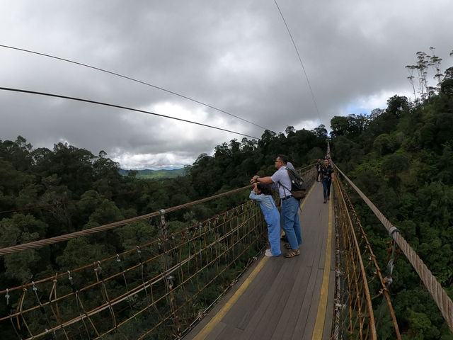 Thrilling Adventure at Rengganis Suspension Bridge