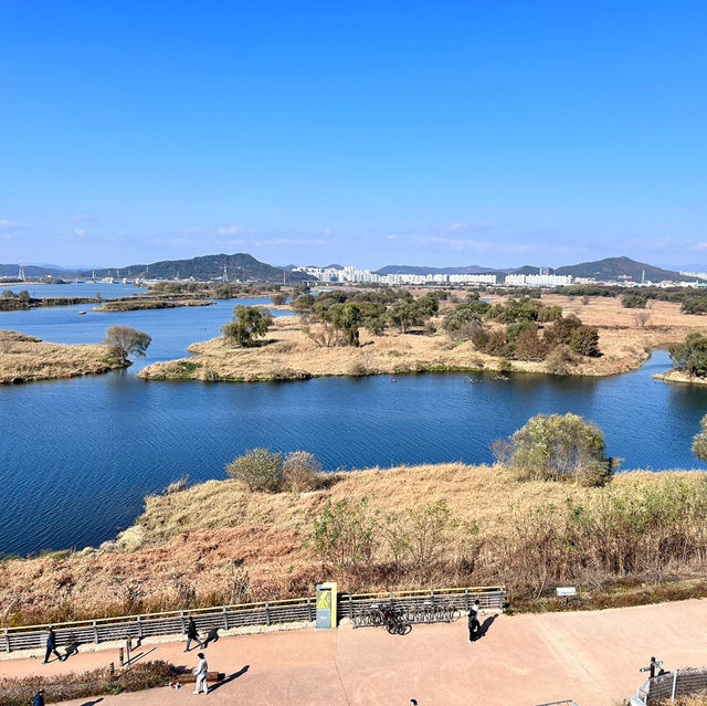 🇰🇷大邱✈️達城濕地生態學習館달성습지생태학습관