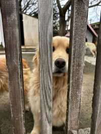 [제주] 추억이 떠오르는 카페✨️