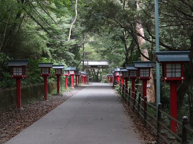 Escape to Nature: A Day Hike to Mount Takao from Tokyo