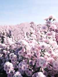 Aoon Rak Farm  บ้านไร่อุ่นรัก 