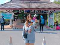 ลานกางเต็นท์ดอยอินทนนท์ 