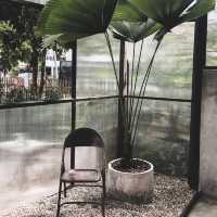 คาเฟ่ร่มรื่น เย็นสบายตาที่เชียงใหม่ 🌱