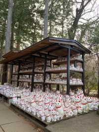 Gotokuji Temple 😸 วัดแมวกวักนำโชคในโตเกียว
