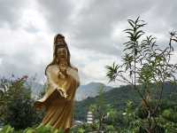 10,000 Buddhas, One Journey: A Peaceful Escape in Sha Tin