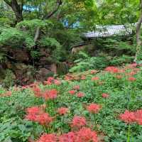 大韓仏教曹渓宗 吉祥寺 