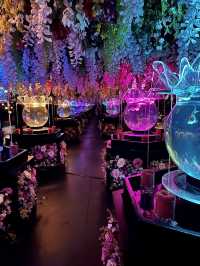 🇯🇵 東京裡藝術館和水族館合壁的地方