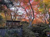 A Sanctuary for the Heartbroken Souls  — The Gio-ji Temple in Arashiyama