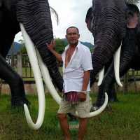 พิพิธภัณฑ์ช้างดึกดำบรรพ์