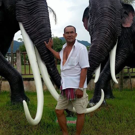 พิพิธภัณฑ์ช้างดึกดำบรรพ์