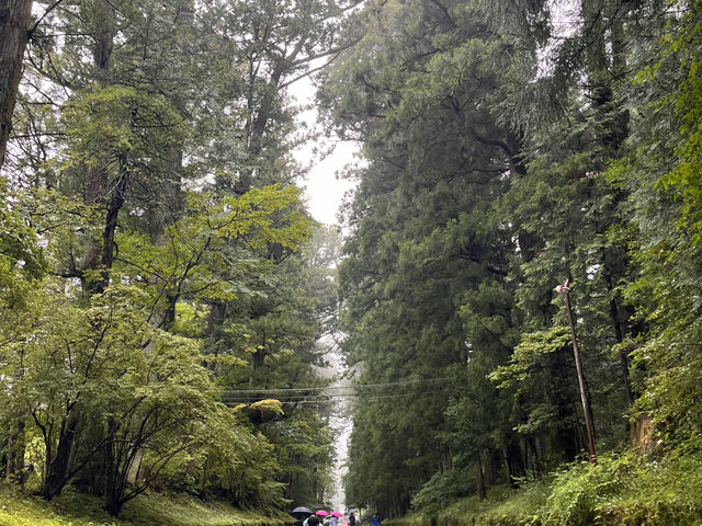 日光東照宮@栃木・日光⛩️