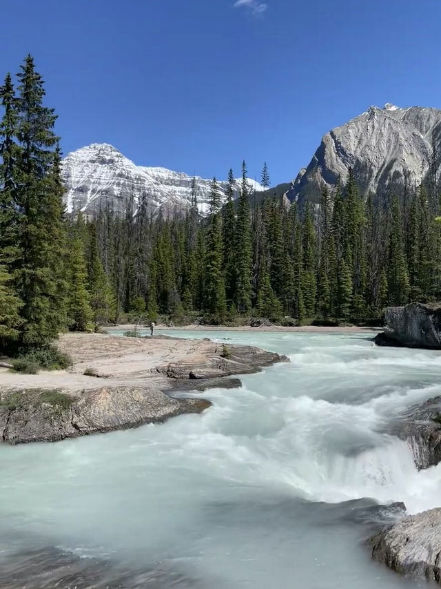 Solitude and Splendor – My Solo Journey Through Yoho National Park