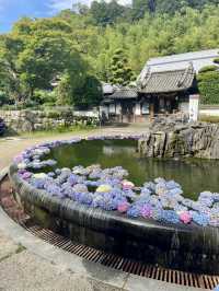 【大阪府】のどかな大阪、知ってる？？