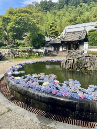 【大阪府】你知道恬靜的大阪嗎？？