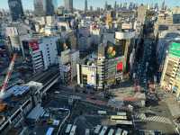 東京澀谷一日遊，感受活力與驚喜