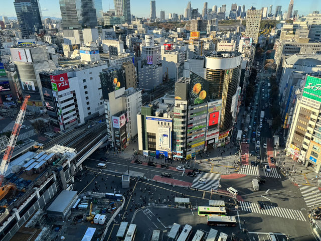 東京澀谷一日遊，感受活力與驚喜
