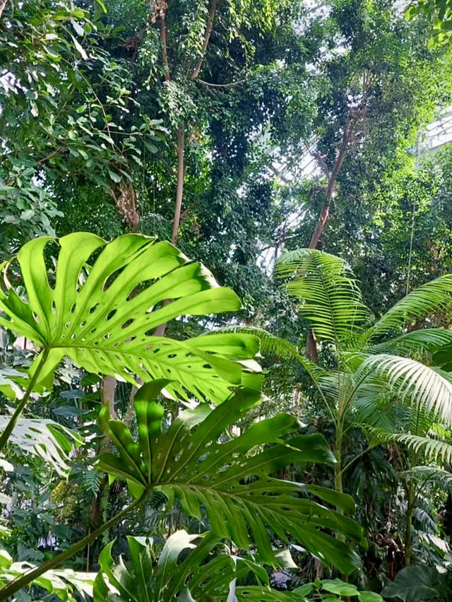 🏝️자연과 함께 역사깊은 온실을 구경하고 체험할 수 있는 🌴파리 5구 여행지💚