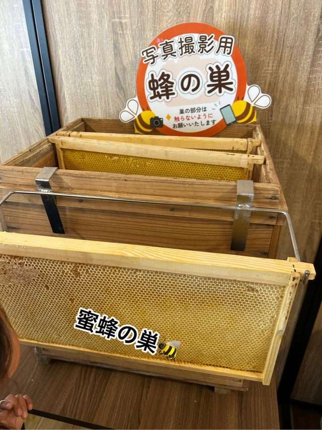 え！これ無料なの！？はちみつ好き必見！