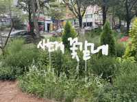 대전 유성온천, 뜨끈한 온천 여행