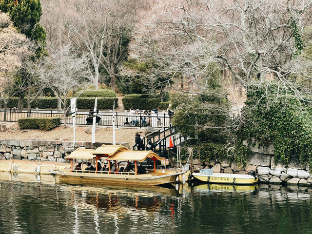 驚豔大阪城：一日遊的歷史與美景之旅 🏯🌸