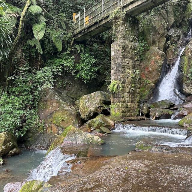 Yangmingshan National Park