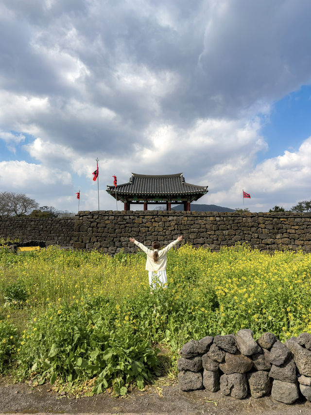 다가오는 봄 제주 유채꽃 명소 Best 6