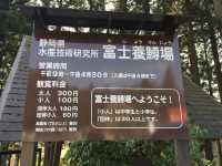 【静岡・富士宮】富士養鱒場🎣